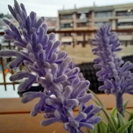 Topview - Center Penthouse - Spacious Balcony Appartamento Salonicco