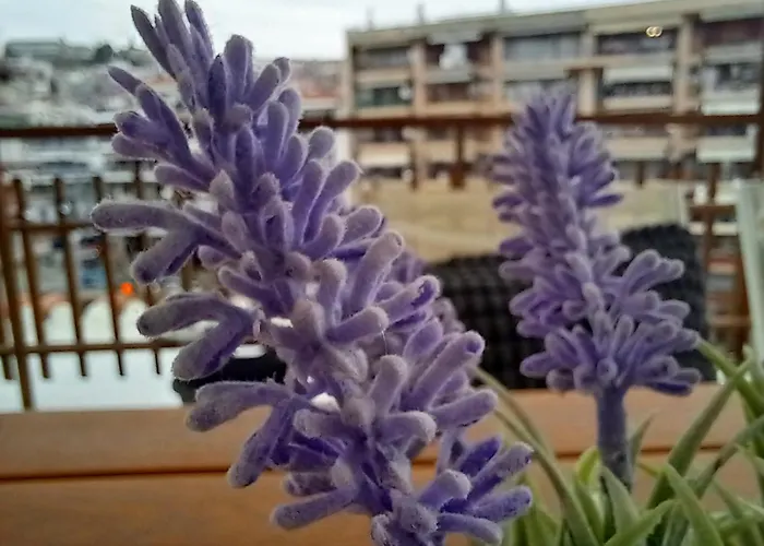 Topview - Center Penthouse - Spacious Balcony Apartmán Soluň